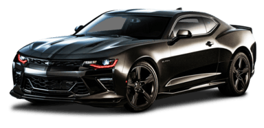 Looking for a rental car?
